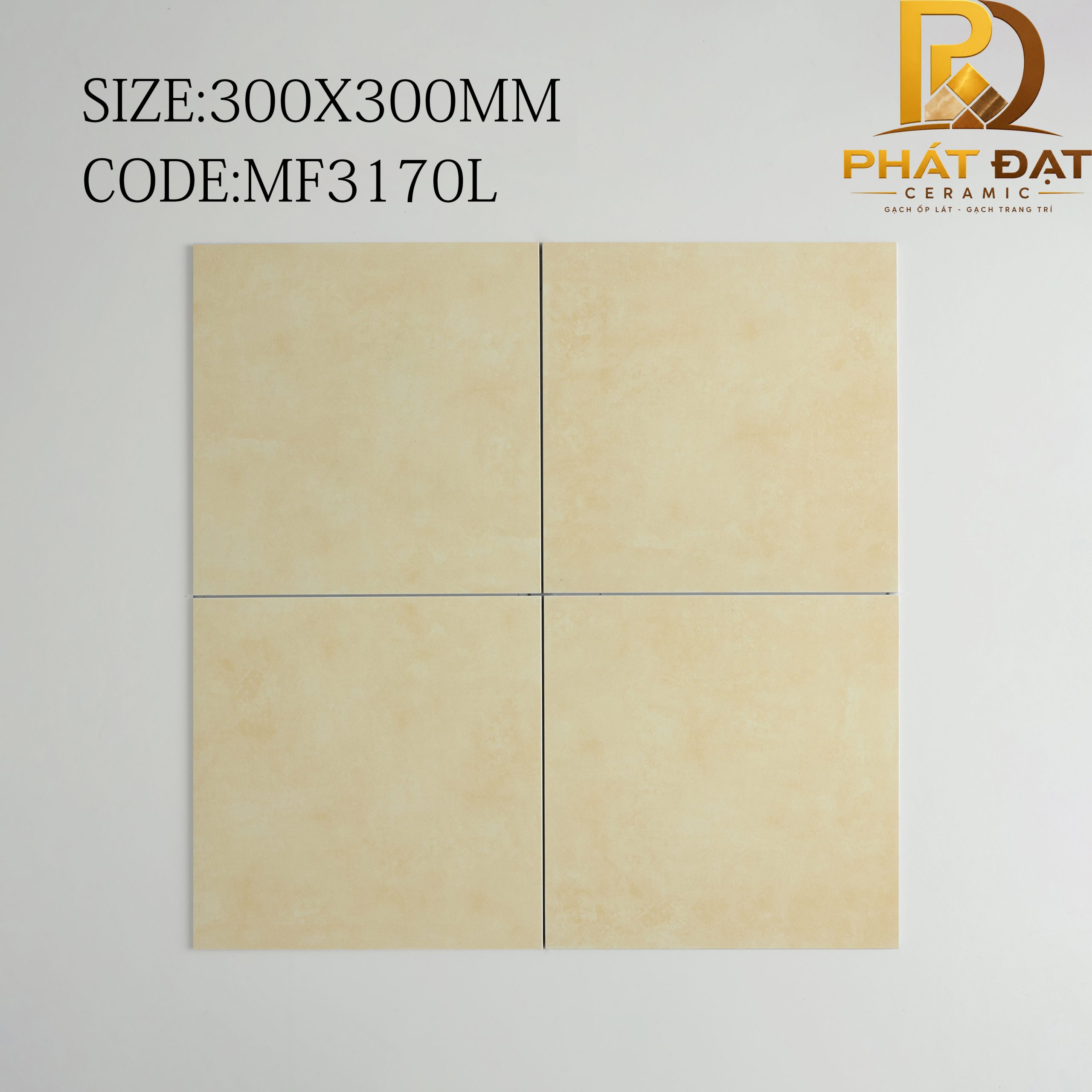 MF3170L copy