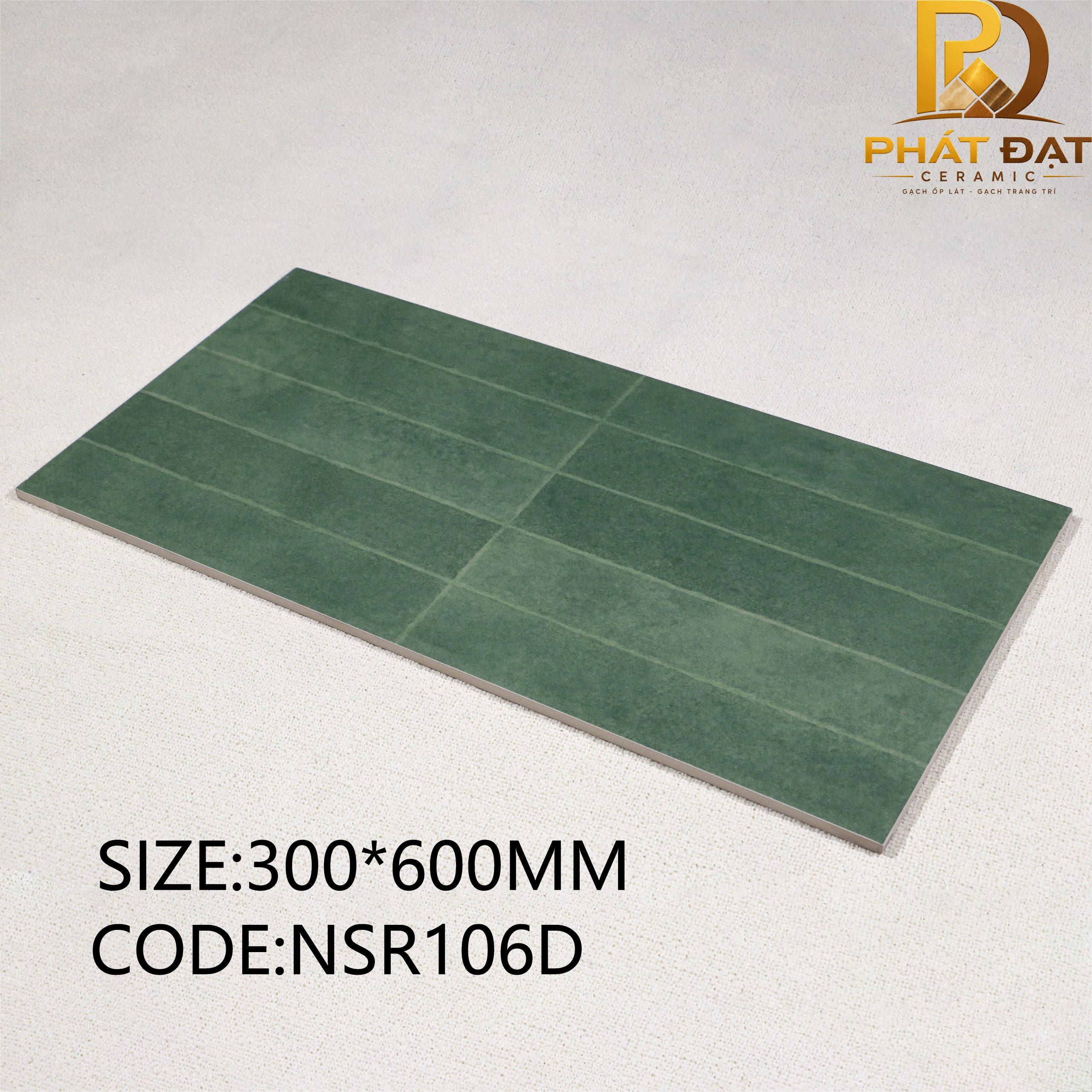 NSR106D copy