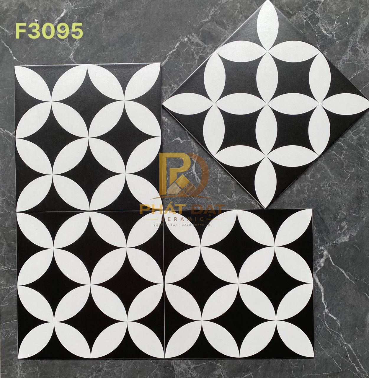 z5490233723911_847513f833b49e0000ab094ebf6ad86d copy